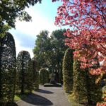 Allerheiligen – Allerseelen Allerheiligen – Allerseelen