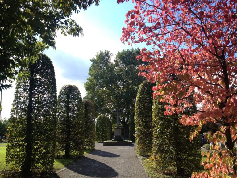 Foto Friedhof Weinfelden, von G. Munz_1
