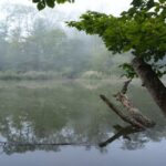 Herbst an den Lengwiler Weihern