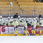 Halbfinaleinzug souverän geschafft!