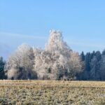 Heute «hoch über» Weinfelden