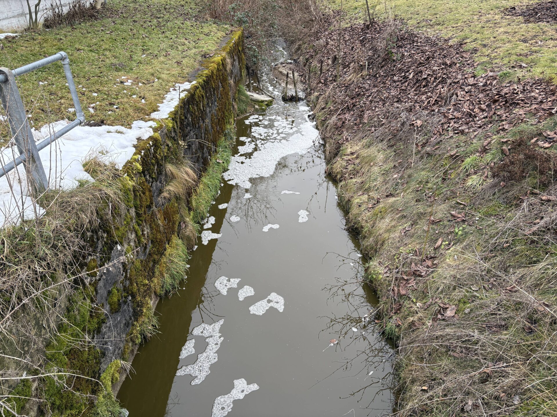 Der Bach wurde auf mehreren hundert Metern zwischen Buhwil und Schönholzerswilen verschmutzt. (Bild: Kantonspolizei Thurgau)