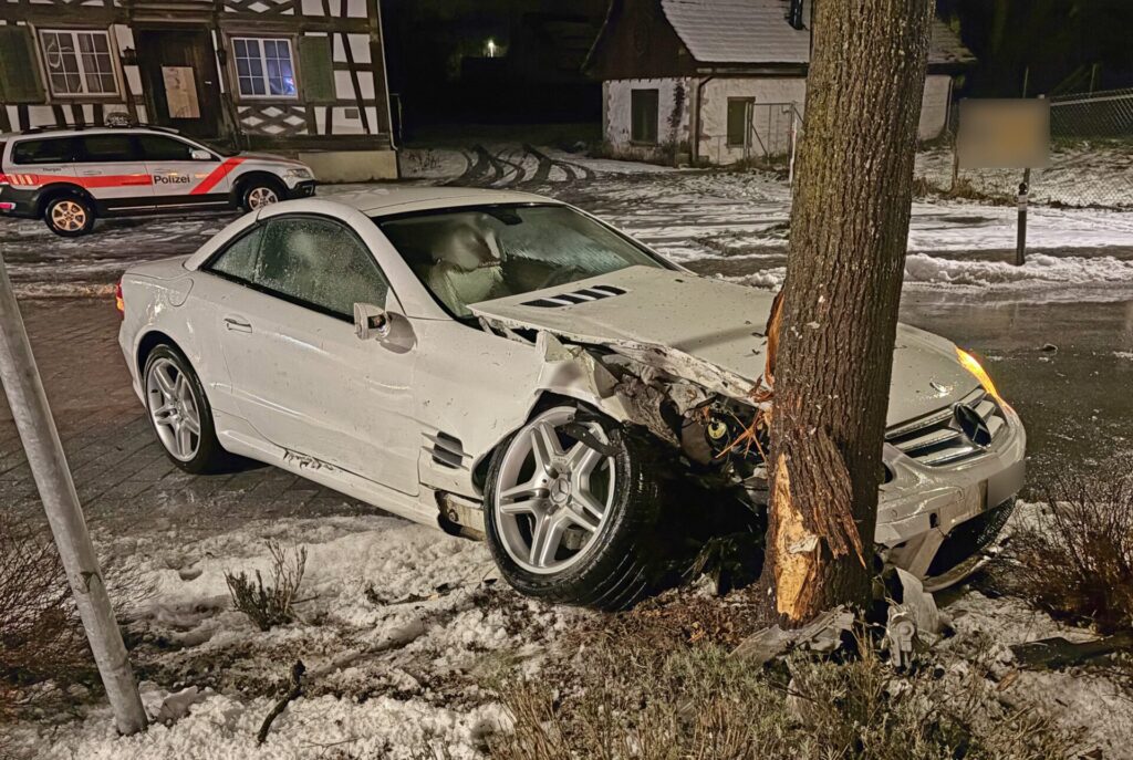 Der Fahrer wurde beim Unfall mittelschwer verletzt. (Bild- Kantonspolizei Thurgau)